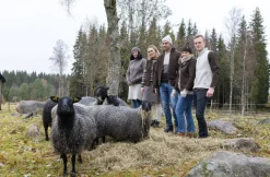 NLS BEECH CREWNECK, 100% OFÄRGAD ULL — COFFEE BEAN